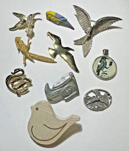 Uccelli colibrì pappagallo - uccelli,