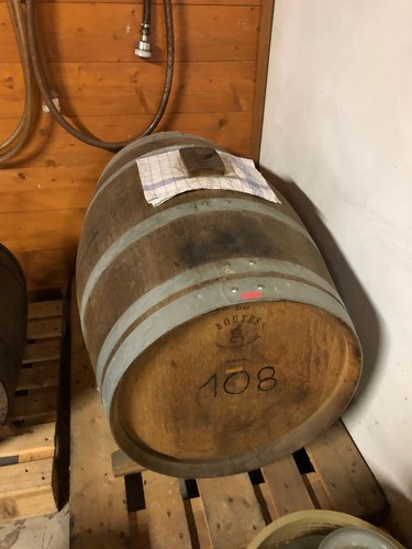 Mosto acetificato trebbiano - mosto, di