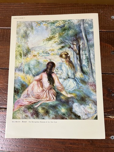 Renoir sul prato - prato,
