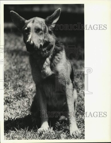 1990 foto stampa maschio - 1990,
