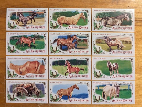 Singoli topps allen - allen, ginter