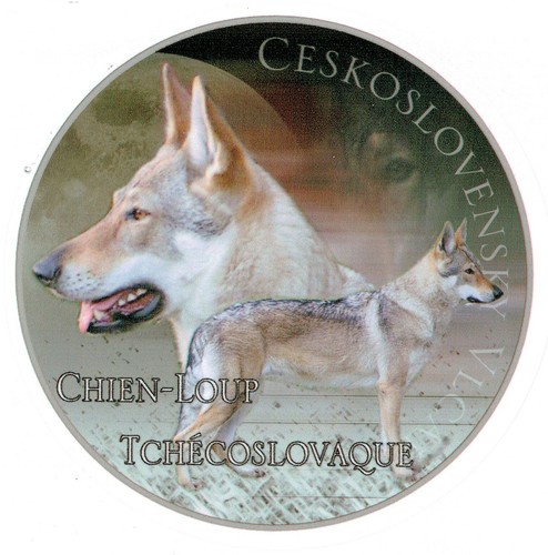 Adesivo motivo chien loup - 1,
