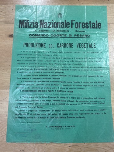 Manifesto milizia forestale v - manifesto,