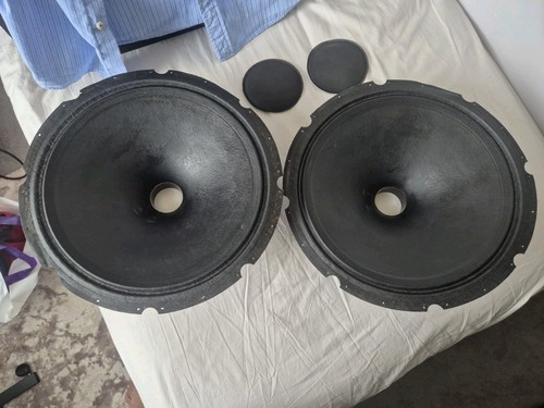 Coppia coni tannoy - di, 15"