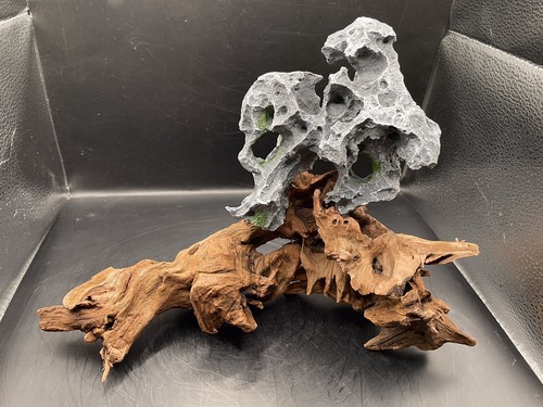 Acquario driftwood legno - acquario,