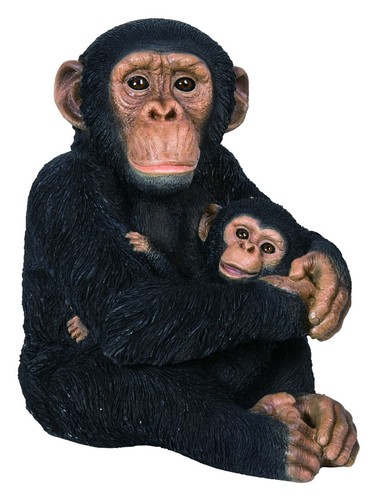 Scimpanzé madre bambino - madre, e