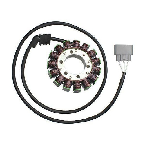 Electrosport statore magnete - statore,