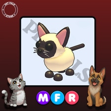 MFR GATTO SIAMESE - ACQUISTA