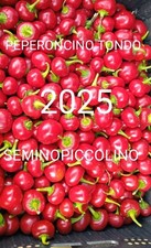 40 Semi Peperoncino Tondo