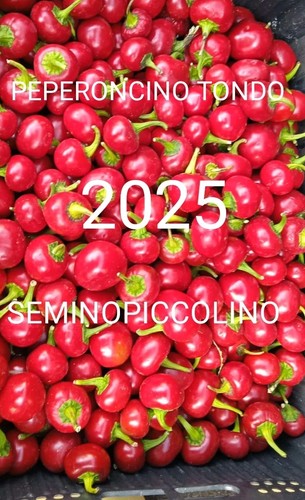 Semi peperoncino tondo - semi,