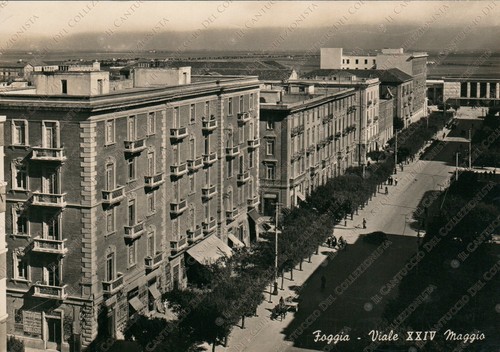 1950 foggia viale xxiv - 1950,