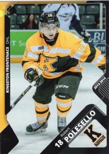 Robert Polesello 2013-14