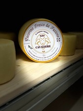 Prodotti tipici Sardo -