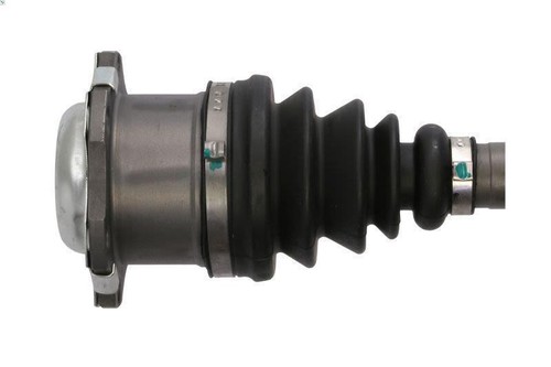 Drive shaft pascal g2w039pc - drive,