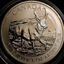 Canada cinque dollari $ 5 2013