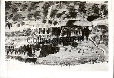 1948 Palestine The Garden Of