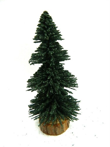 Albero abete - albero, cm