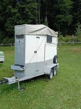 Vendo Trailer Cavalli  In