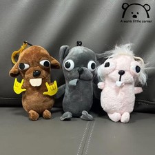 Carino chihuahua cucciolo - carino,