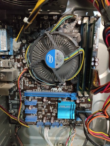 Asus p8h61 cpu intel - p8h61-m,