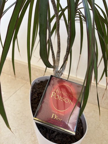Dior hypnotic poison 100ml eau - dior,