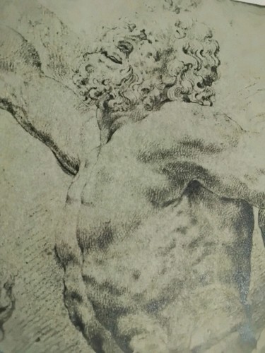 Laocoonte suoi figli - i,