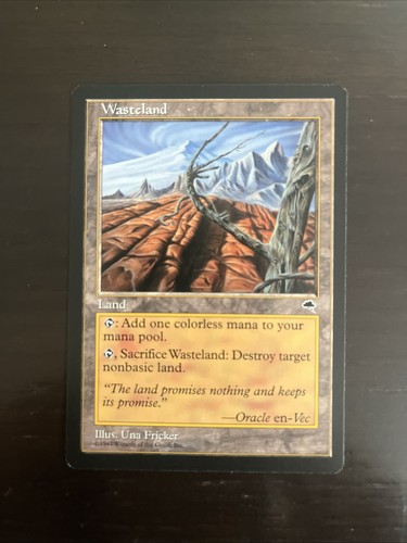 Wasteland tempest mtg - wasteland,