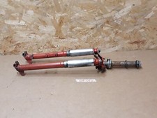 FORCELLA ANTERIORE BIANCHI