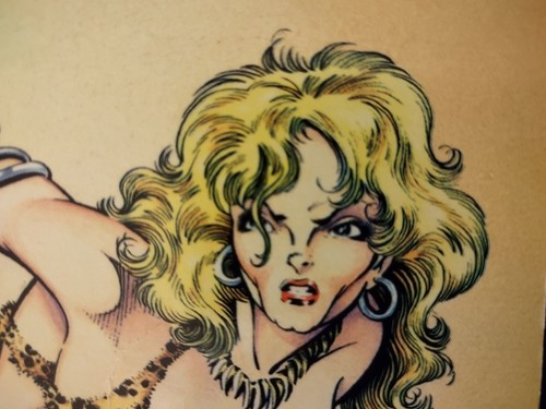 Ron wilber 1995 domino lady - 1995,