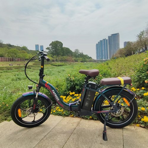 Bicicletta elettrica fafrees - elettrica,