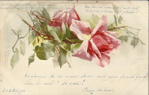 Stupenda cartolina svizzera - cartolina,
