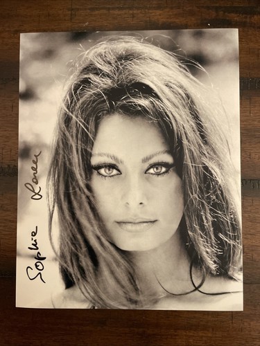 Sophia loren splendida foto - loren,