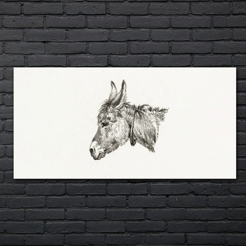 Disegno animale asino - , arte