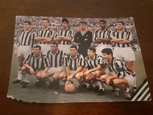 Cartolina postale vintage 60 - cartolina,