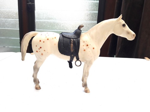 Pony americans appaloosa - of,