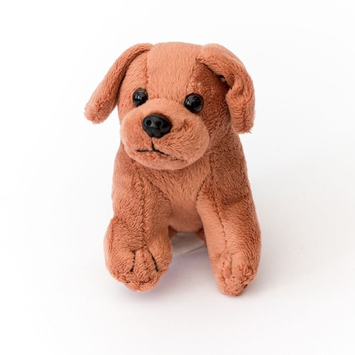 New brown puppy - brown,