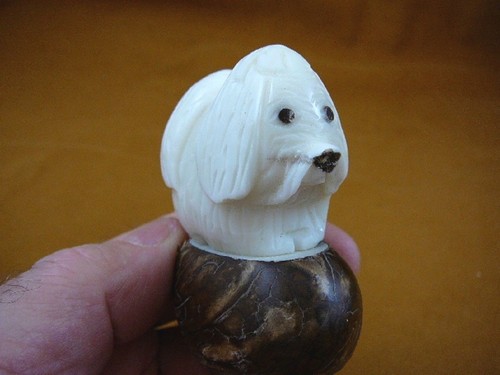 Statuina - (tne-dog-ma-513c),