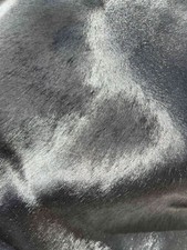 Pelle cavallino colore nero