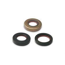 Kit paraoli MALOSSI Fkm/Pte