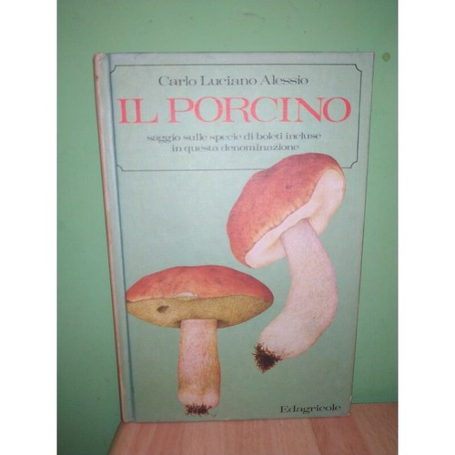 Porcino saggio sulle - saggio,