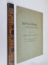 1899 SELVICULTURA BELLAGIO LAGO COMO TROTTI BENTIVOGLIO FESTA ALBERI GUELLO SC72