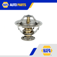 Termostato liquido di