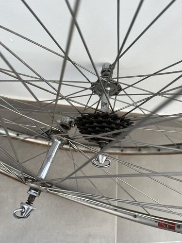 Gran sport campagnolo - sport,