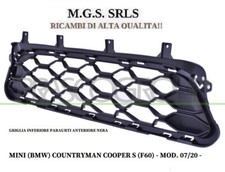 GRIGLIA  PARAURTI ANTERIORE