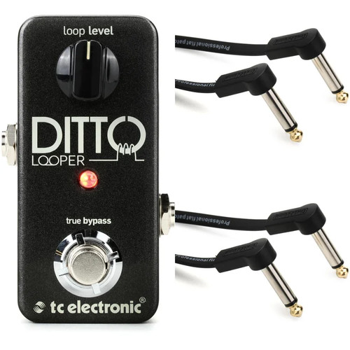Electronic ditto looper - tc,