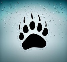 Autoadesivo Automobile