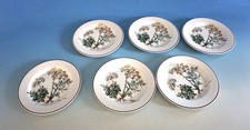 Vintage Villeroy & Boch Botanica 6 piatti da antipasto piatto Carum 17 cm (F025-1062