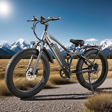 Bicicletta Elettrica 25km/h