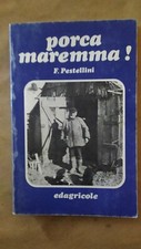 porca  Maremma pestellini
