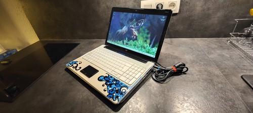 Laptop artist edition w10 - edition,